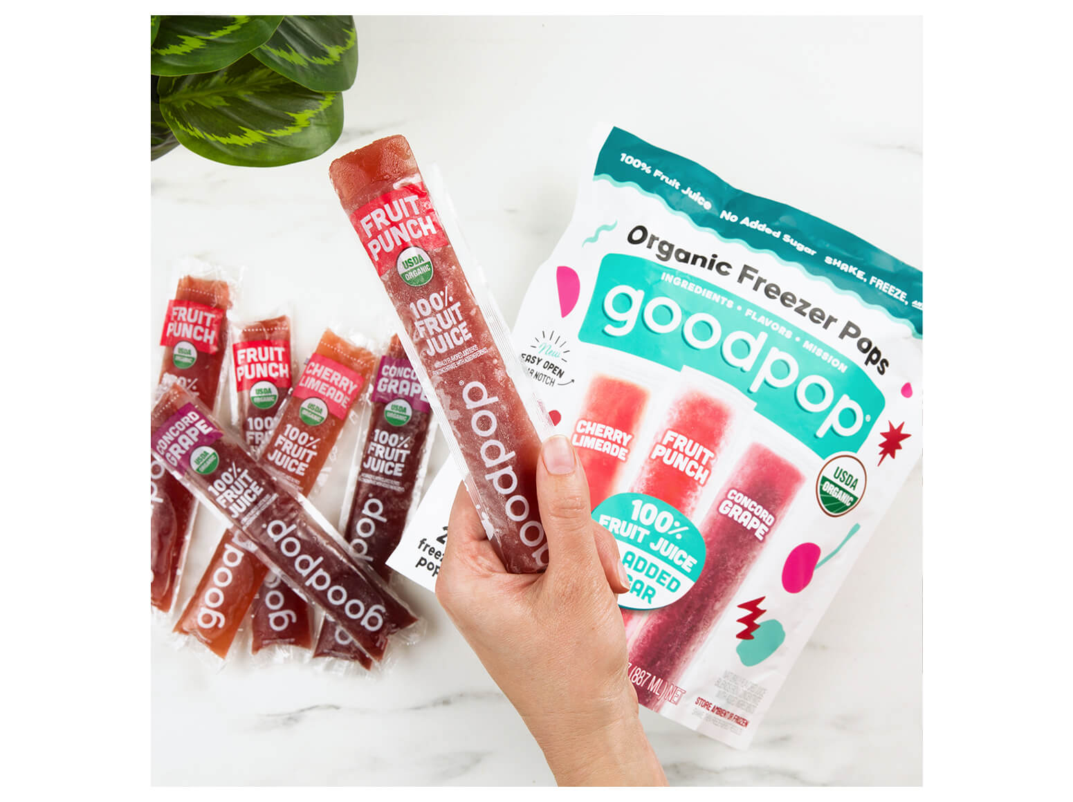 Organic Juice Blasters - Ice Pops  GoodPop Cherry, Lemonade and Berry