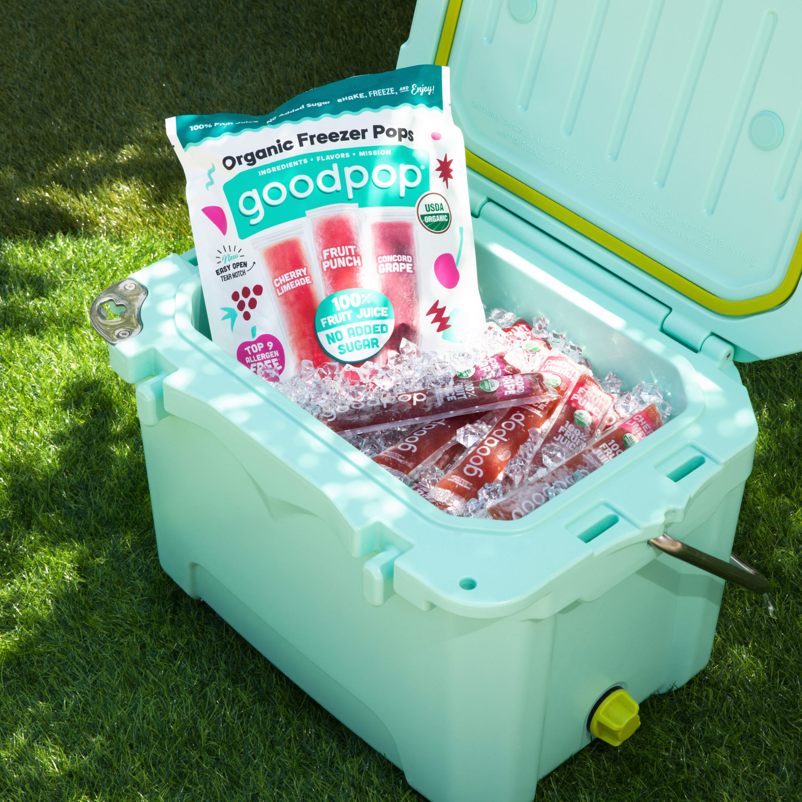 Teal cooler sits outside on the grass and is filled with ice and GoodPop Organic Freezer Pops