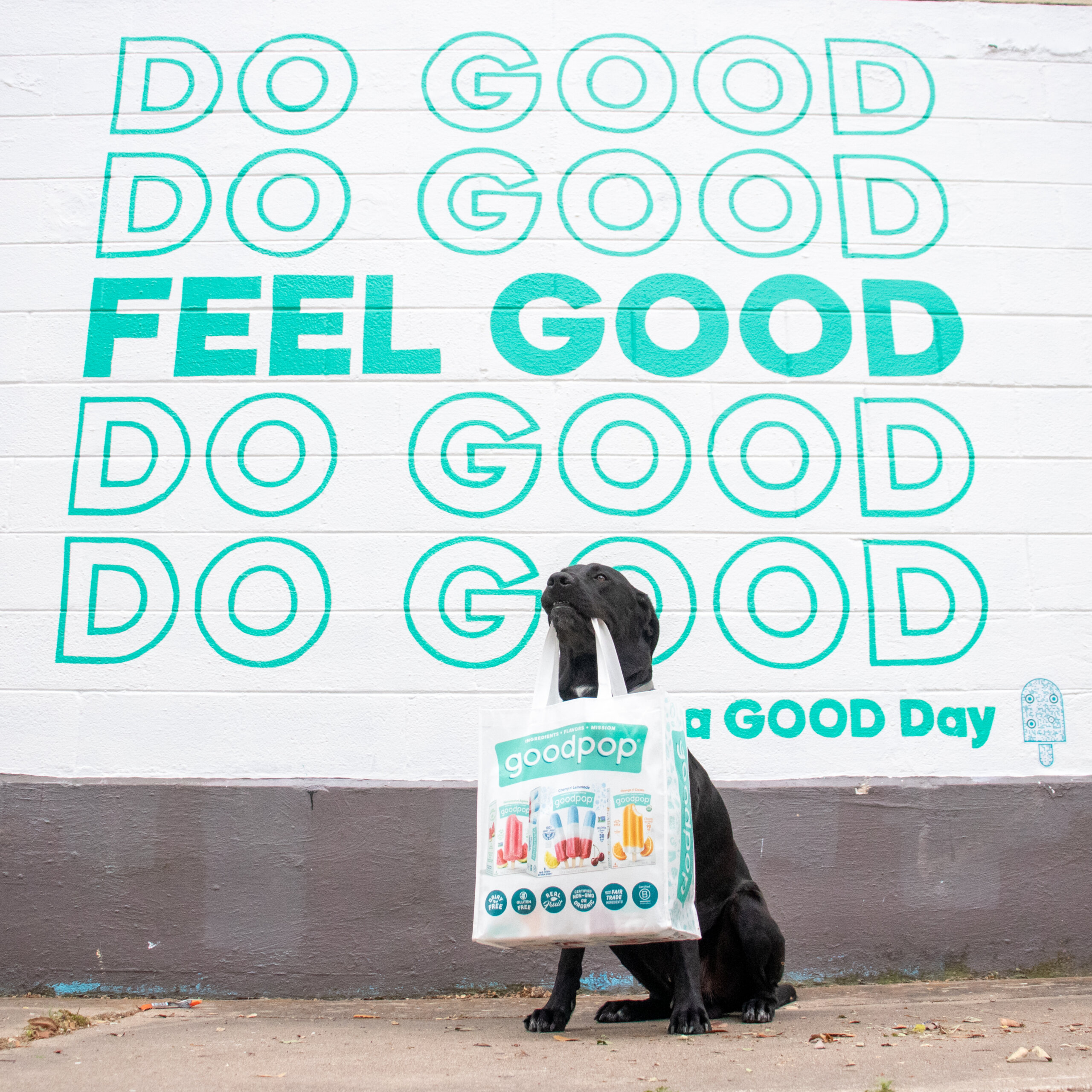 Dog holding GoodPop bag in front of wall mural